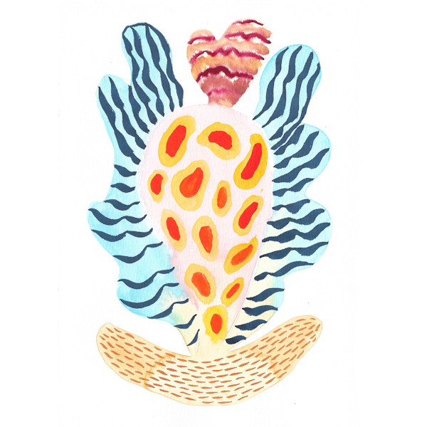 Seed Pod by kelly mccallum