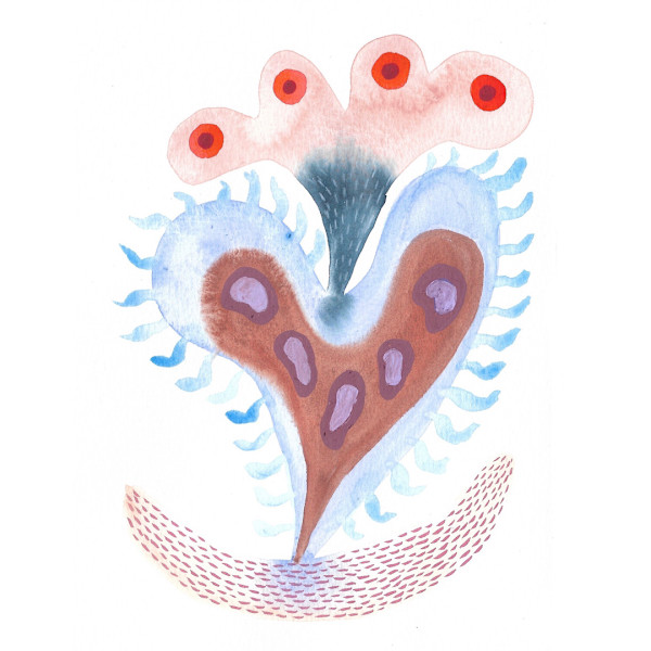 Seed Pod by kelly mccallum