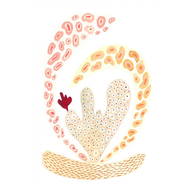 Weird Plant by kelly mccallum