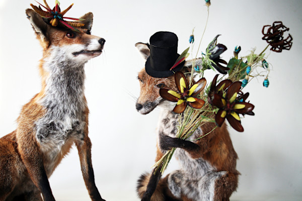 Untitled (foxes with insect Flowers) by kelly mccallum