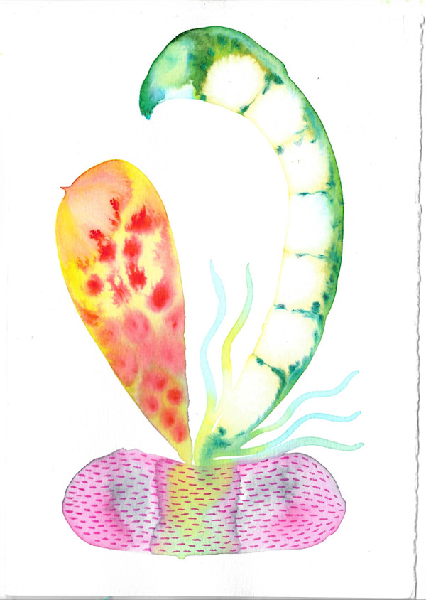 Weird Plant by kelly mccallum