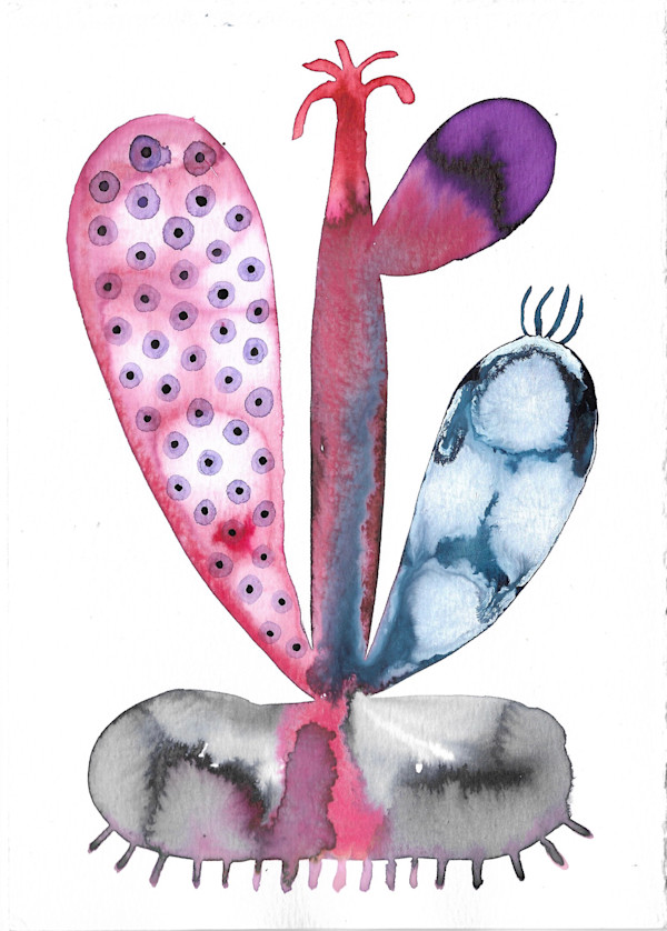 Weird Plant by kelly mccallum