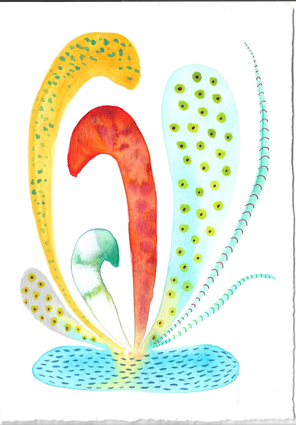 Weird Plant by kelly mccallum