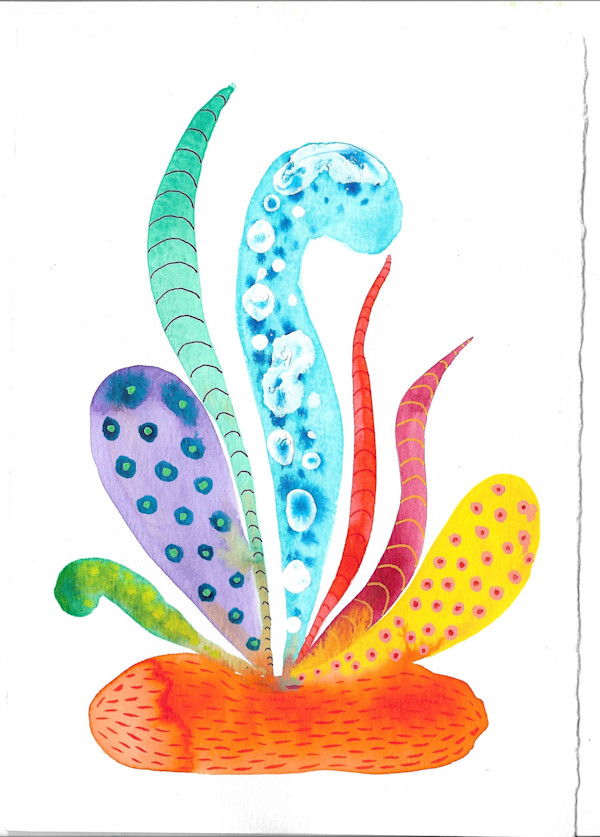 Weird Plant by kelly mccallum