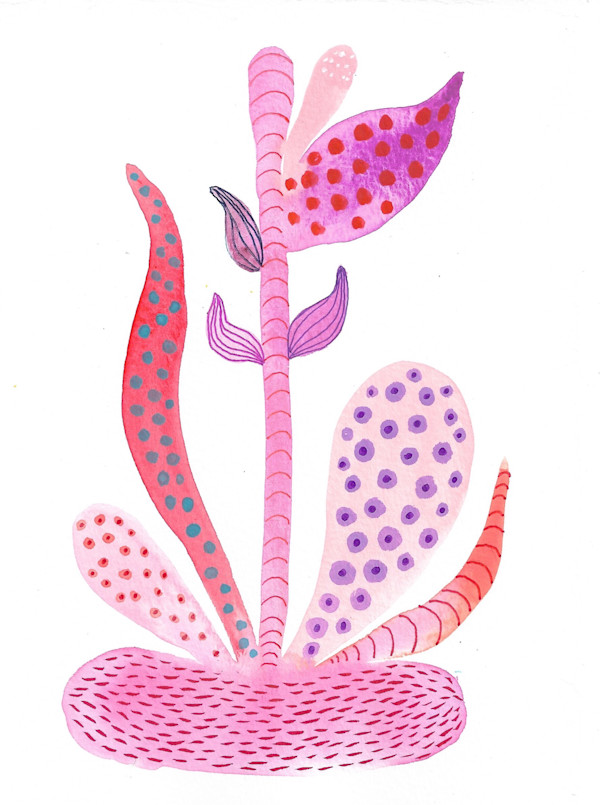 Weird Plant by kelly mccallum