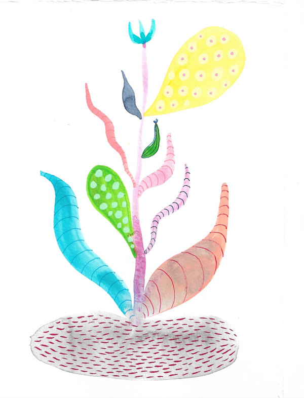 Weird Plant by kelly mccallum