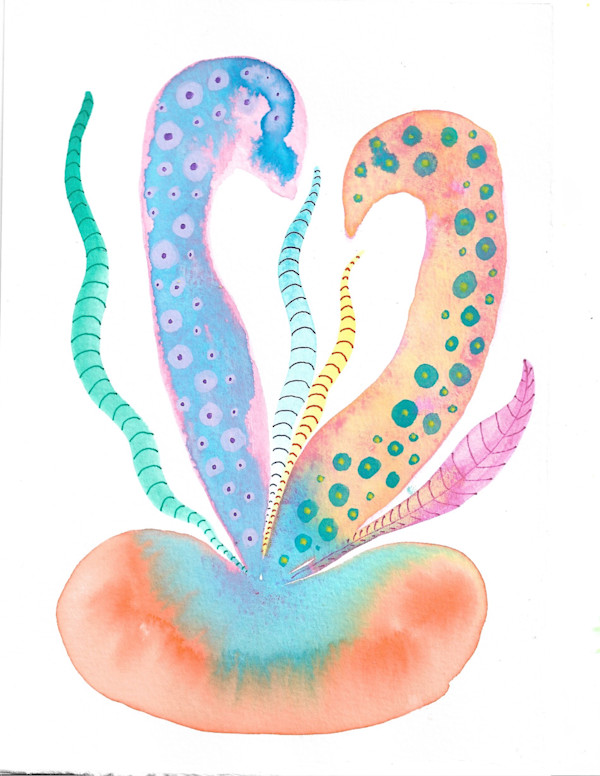 Weird Plant by kelly mccallum