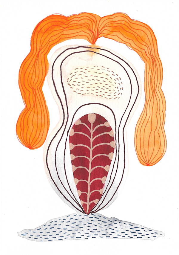 Seed Pod by kelly mccallum