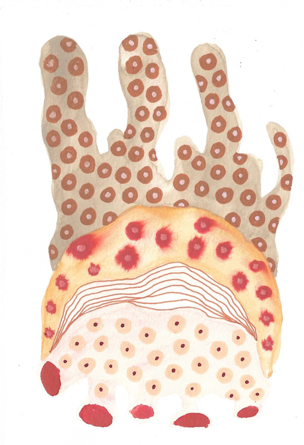 Seed Pod by kelly mccallum