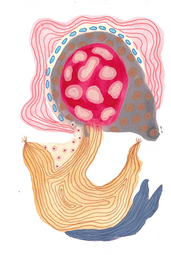 Seed Pod by kelly mccallum