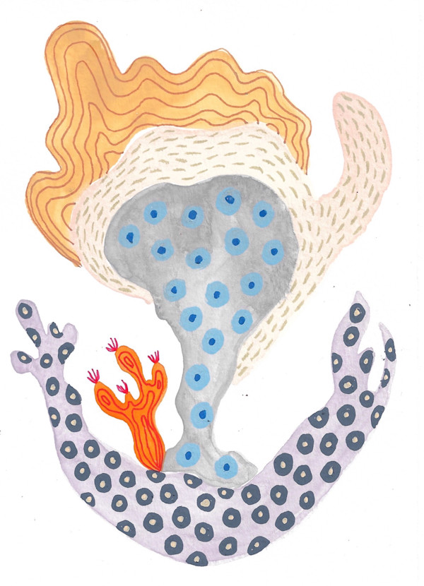Seed Pod by kelly mccallum