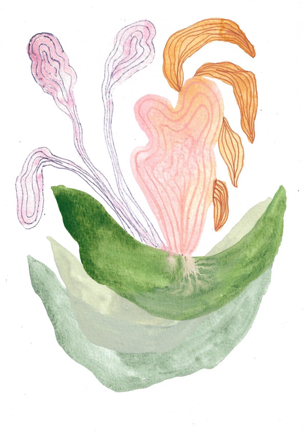 Seed Pod by kelly mccallum