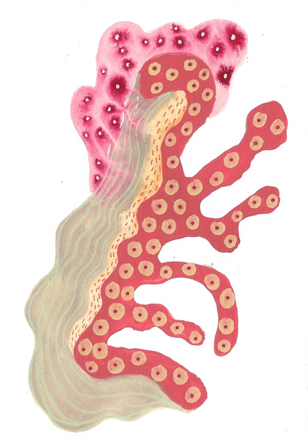 Seed Pod by kelly mccallum