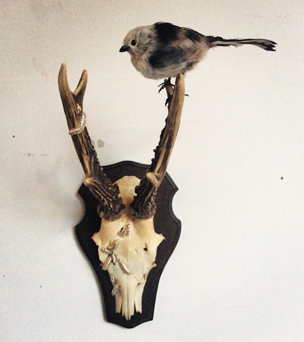 Untitled (bird and skull) by kelly mccallum
