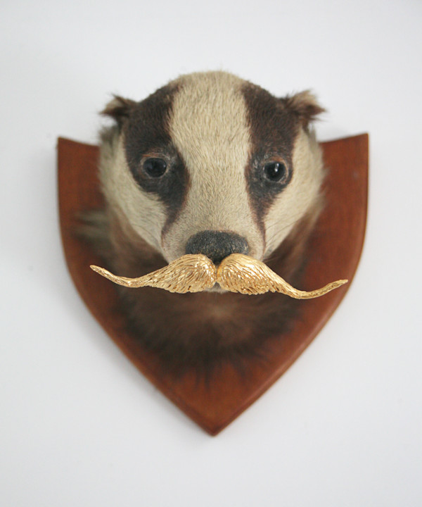 Senetor Geoffrey Hibbert by kelly mccallum