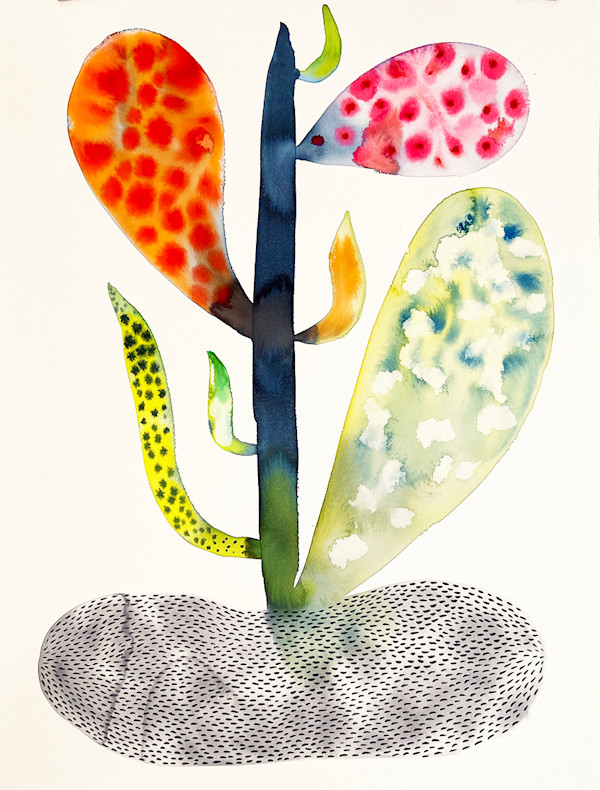 Weird Plant by kelly mccallum