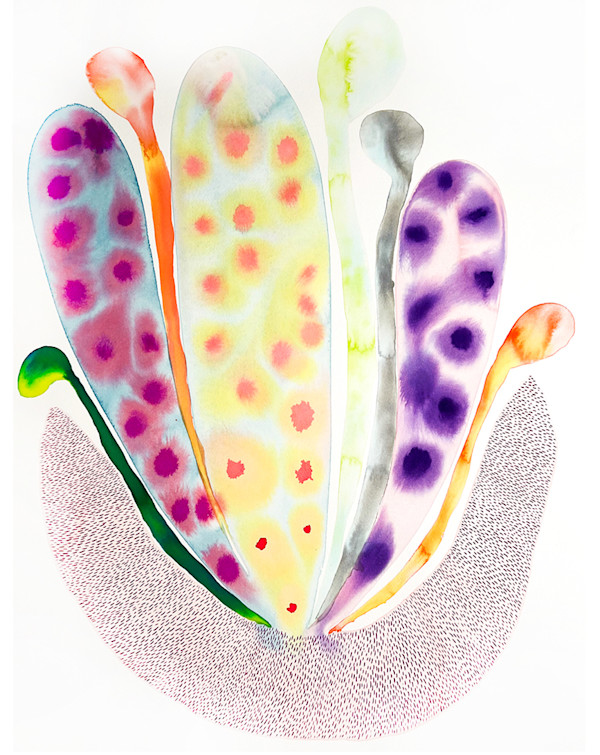 Weird Plant by kelly mccallum