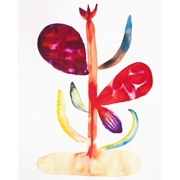 Weird Plant by kelly mccallum