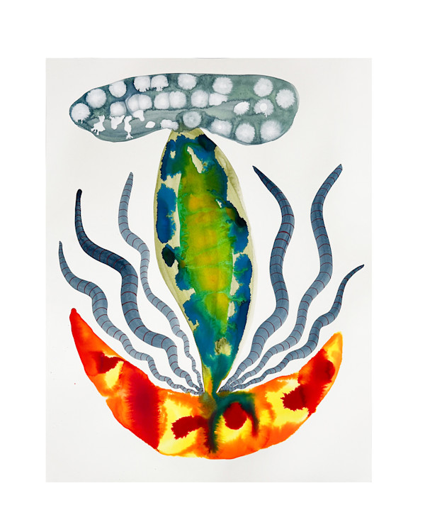 Seed Pod by kelly mccallum
