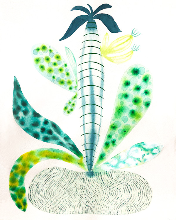 Weird Plant by kelly mccallum