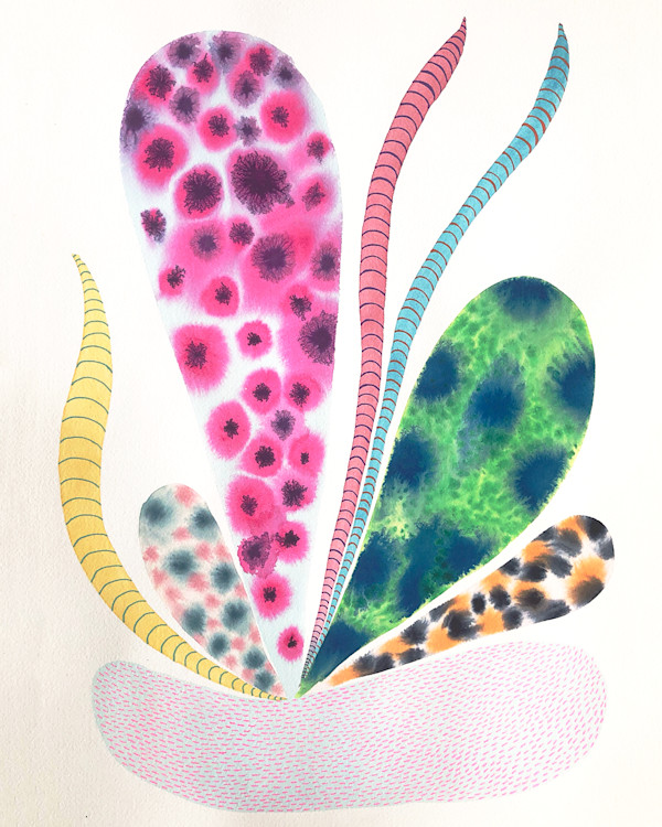 Weird Plant by kelly mccallum