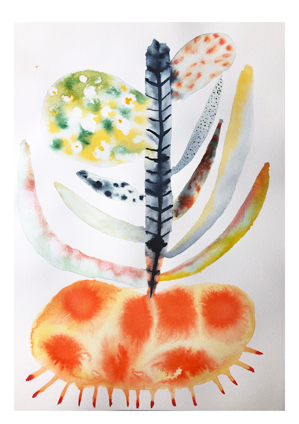 Weird Plant by kelly mccallum
