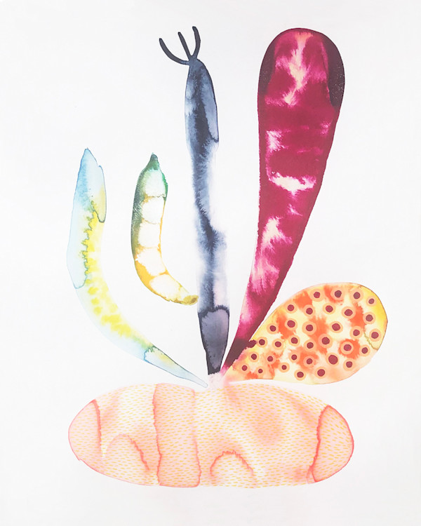 Weird Plant by kelly mccallum