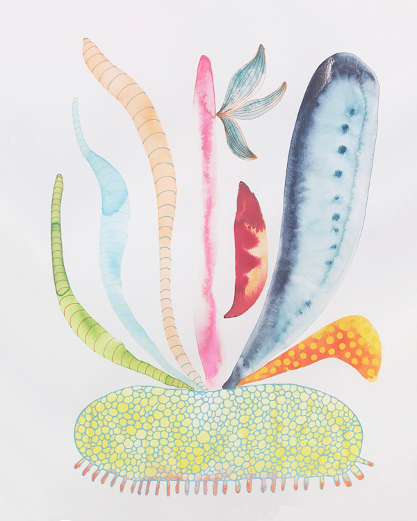 Weird Plant by kelly mccallum