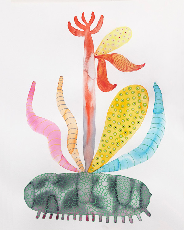Weird Plant by kelly mccallum