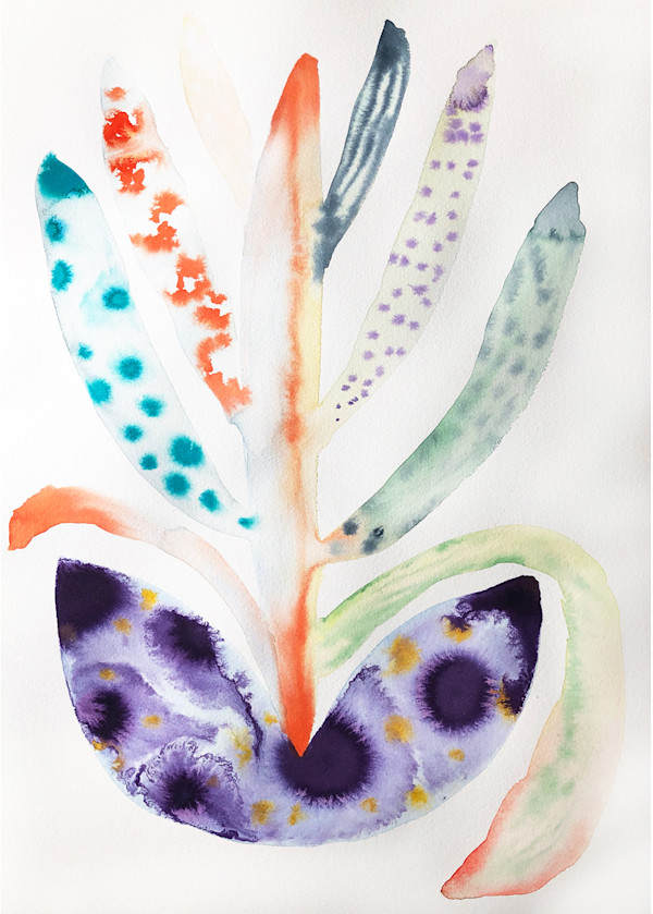 Weird Plant by kelly mccallum