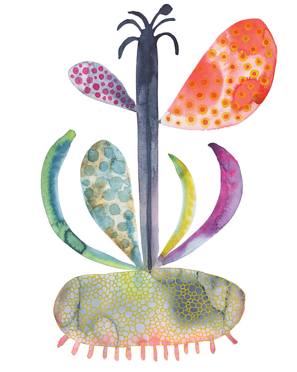 Weird Plant by kelly mccallum