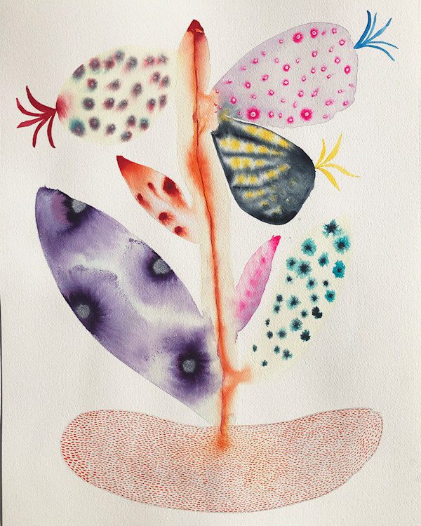 Weird Plant by kelly mccallum
