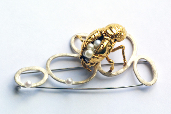Cicada Brooches by kelly mccallum