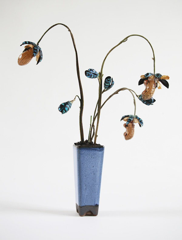 insect flowers by kelly mccallum