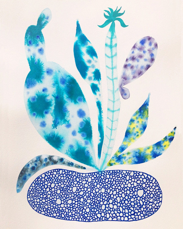 Weird Plant by kelly mccallum