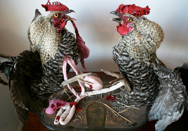Fighting Cocks by kelly mccallum
