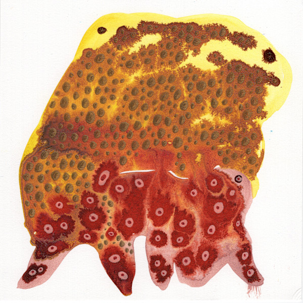 Totem by kelly mccallum