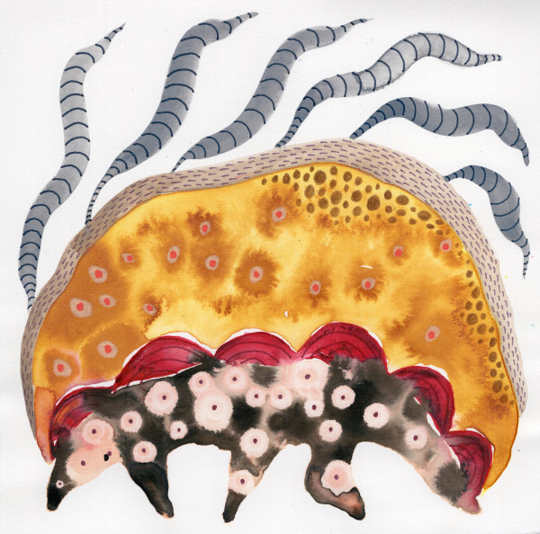 Totem by kelly mccallum