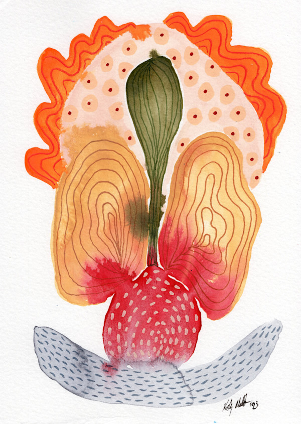 Seed Pod by kelly mccallum