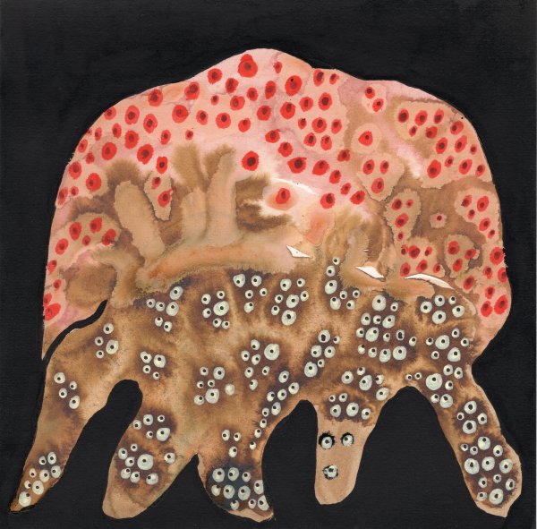 Totem by kelly mccallum