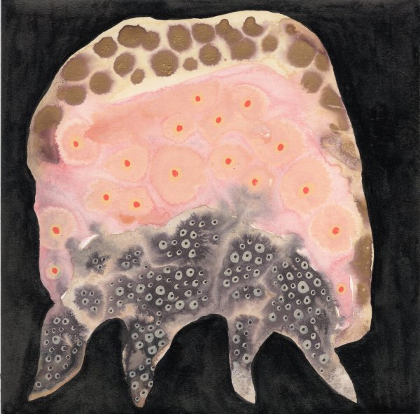 Totem by kelly mccallum