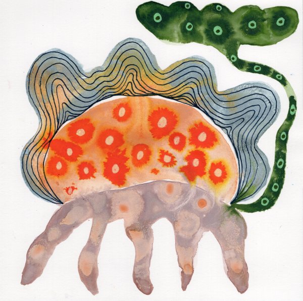 Totem by kelly mccallum