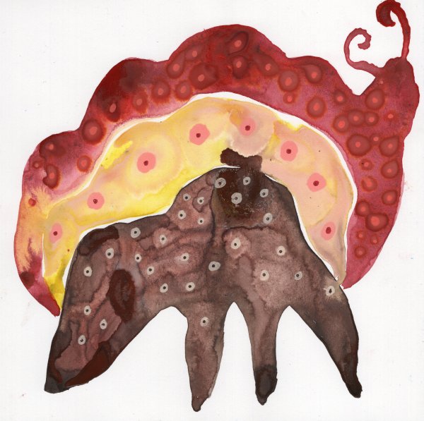 Totem by kelly mccallum