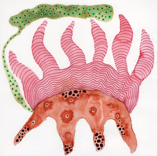 Totem by kelly mccallum