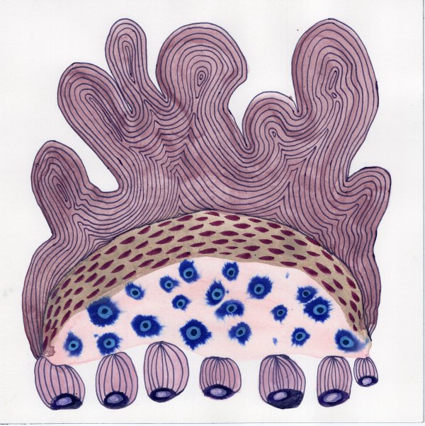 Totem by kelly mccallum
