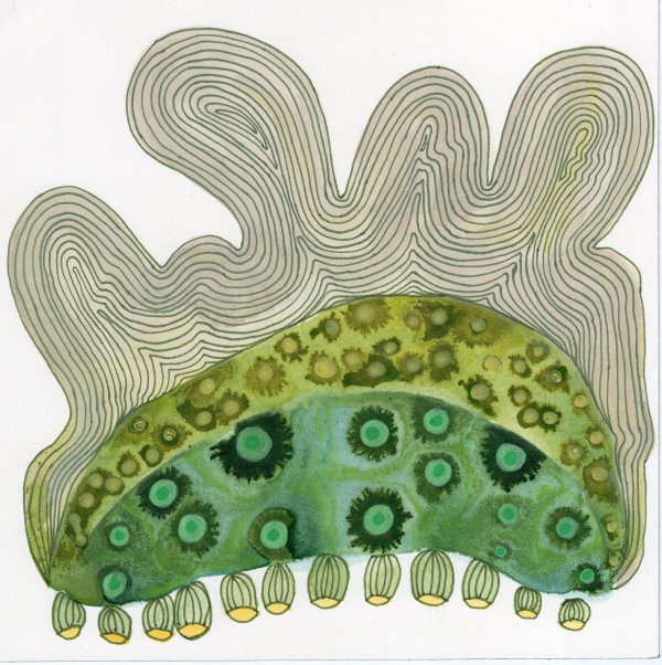Totem by kelly mccallum