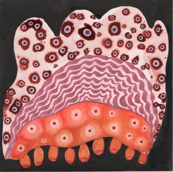 Totem by kelly mccallum