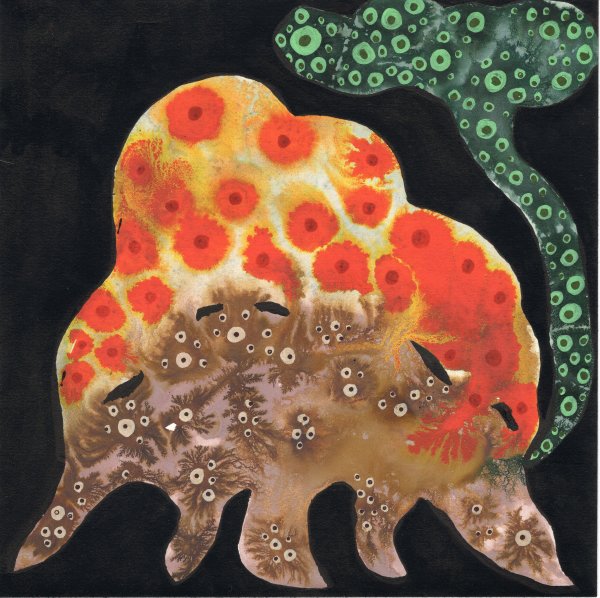 Totem by kelly mccallum