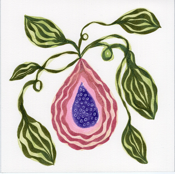 Low Hanging Fruit by kelly mccallum