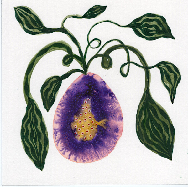 Low Hanging Fruit by kelly mccallum
